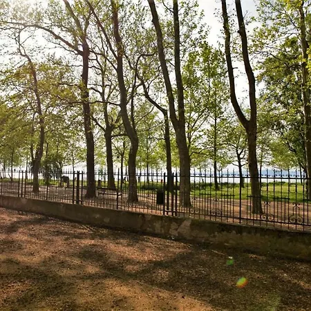 Loffice Balaton 게스트하우스